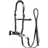 Produktbild von Edix Saddles ED4-Classic Gebisslose Trense für Pferde aus Leder in Schwarz