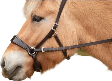 Edix Saddles English Pferdezügel aus Leder – Bild 1 von 1