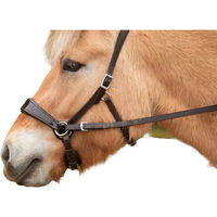 Produktbild von Edix Saddles English Pferdezügel aus Leder