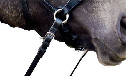 Edix Saddles English Pferdezügel aus Leder – Bild 1 von 1