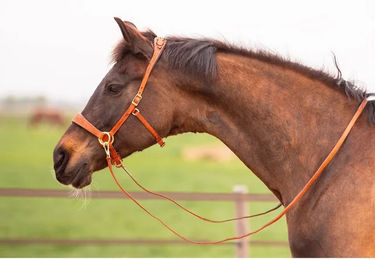 Produktbild von Edix Saddles Gebisslose Trense ED2-Rose für Pferde in Rosa und Braun