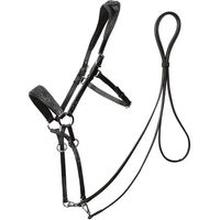 Produktbild von Edix Saddles Gebisslose Trense für Pferde aus Leder in Rosa Grösse M