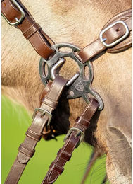 Produktbild von Edix Saddles Hack-Halo-Pro Hackamore für Pferde aus Leder in Braun