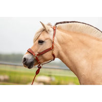Produktbild von Edix Saddles Kaily Pferdehalfter aus Leder für Ponys in Braun