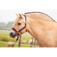 Produktbild von Edix Saddles Kaily Pferdehalfter aus Leder in Braun für Vollblut