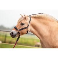 Produktbild von Edix Saddles Kaily Pferdehalfter aus Leder in Schwarz