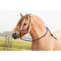 Produktbild von Edix Saddles Resi Pferdehalfter aus Leder für Vollblut