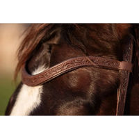 Produktbild von Edix Saddles Stirnband für Pferde