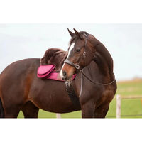 Produktbild von Edix Saddles Zaumzeug ED2-Nyra zum Reiten