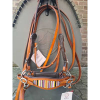Produktbild von Edix Saddles Zaumzeug ED4-Brightstar aus Leder für Vollblut in Braun