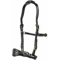 Produktbild von Edix Saddles Zaumzeug ED4-Jazz zum Reiten