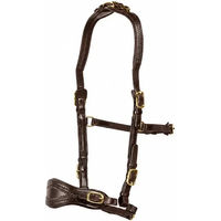 Produktbild von Edix Saddles Zaumzeug ED4-Jazz zum Reiten