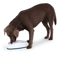 Produktbild von Edupet Futternapf für Hunde Weiß 21cm - 300 ml
