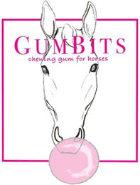 Effol Gumbits Kaugummi für Pferde und Ponys 340 g – Bild 1 von 3