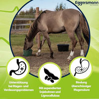 Produktbild von Eggersmann E-Vet mucOstat Pferdefutter zur Unterstützung der Verdauung und bei Magen-Darm-Problemen 3 kg - 3 kg