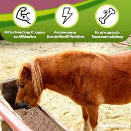Eggersmann Fohlenstarter Pellets für Fohlen und Aufzucht zur Unterstützung von Gelenken und Verdauung - 25 kg – Bild 1 von 5
