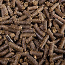Eggersmann Profi Bronchial Pellets 1 kg Ergänzungsfuttermittel für Pferde zur Unterstützung der Atemwege und des Immunsystems - 1 kg – Bild 1 von 5