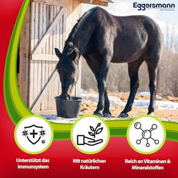 Eggersmann Profi Bronchial Pellets Ergänzungsfutter für Pferde zur Unterstützung der Atemwege und des Immunsystems 4 kg - 4 kg – Bild 1 von 5