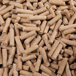 Eggersmann Profi Knoblauch Plus Ergänzungsfuttermittel für Pferde 4 kg zur Immunstärkung - 4 kg – Bild 1 von 4