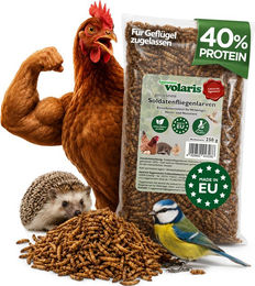 Eggersmann Soldatenfliegenlarven getrocknet 250 g – Bild 1 von 1