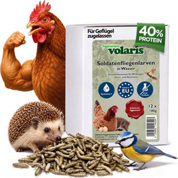 Eggersmann Soldatenfliegenlarven in Wasser 12x100g Hühnerfutter – Bild 1 von 1