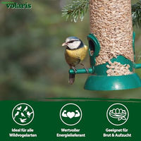 Produktbild von Eggersmann Volaris Geschälte Sonnenblumenkerne Vogelfutter für Wildvögel 16kg