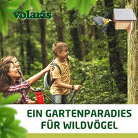 Produktbild von Eggersmann Volaris Premium Erdnussbutter mit Insekten als kalorienreiches Fettfutter für Wildvögel 3 x 350g - 3 x 350 g