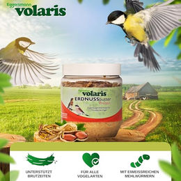 Eggersmann Volaris Premium Erdnussbutter mit Insekten als kalorienreiches Fettfutter für Wildvögel 6 x 350g - 6 x 350 g – Bild 1 von 2