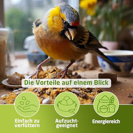 Eggersmann Volaris Wildvogel Futter Fettkörner Ganzjährig 25 kg - 25 kg – Bild 1 von 5