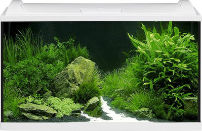 Produktbild von EHEIM aquaproLED 126 LED-Aufsetzleuchte Weiß