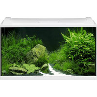Produktbild von EHEIM aquaproLED 126 LED-Aufsetzleuchte Weiß