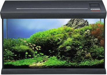 EHEIM Aquarium Starter-Set aquafamily 66 Liter Schwarz – Bild 1 von 6