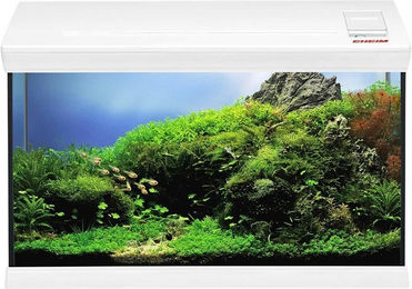 EHEIM Aquarium Starter-Set aquafamily 66 Liter Weiß – Bild 1 von 4