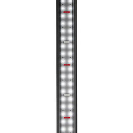 EHEIM powerLED+ Fresh Daylight LED-Aquarienbeleuchtung 1074 mm – Bild 1 von 6
