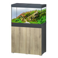 Produktbild von EHEIM vivaline 180 LED Aquarium mit Unterschrank Anthrazit/Wood