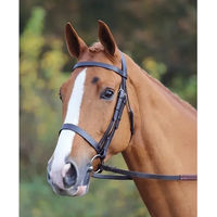 Produktbild von Einfarbige Reitgerte Velociti Gara