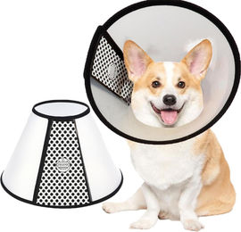 Einstellbarer Schutzkragen für Katzen und Hunde aus Kunststoff in Weiß 39-43cm – Bild 1 von 7