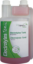 Produktbild von Ekkia Elektrolyt Tonic 1L
