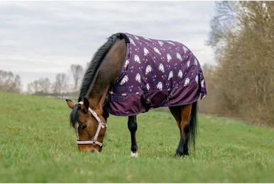 Ekkia Equithème Licorne Outdoor-Decke für Pferde 600D 220g Lila – Bild 1 von 3