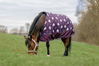 Ekkia Equitheme Outdoordecke Turnout Decke Unicorn 600D 220g Pony Pflaumenfarben 105cm – Bild 1 von 3