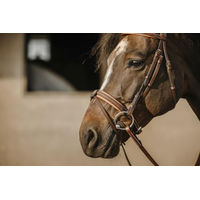 Produktbild von EKKIA Eric Thomas Work Trense aus Büffelleder in Havana Braun für Warmblut