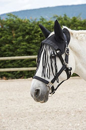 Produktbild von Ekkia Fliegenschutzhaube mit Fliegenfransen für Warmblut in Schwarz