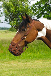 EKKIA Hippotonic Maulkorb für Pferde aus Nylon in Braun – Bild 1 von 2