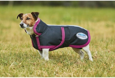 Ekkia Hundedecke 1200DEN – Bild 1 von 1