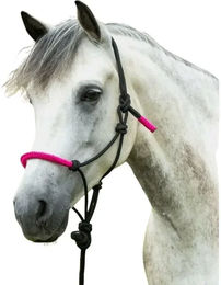 Ekkia Knotenhalfter Fun Colour Kordelhalfter mit Strick für Warmblut Schwarz Fuchsia – Bild 1 von 3