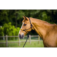 Produktbild von Ekkia Knotenhalfter Fun Colour mit Strick für Ponys in Schwarz-Orange