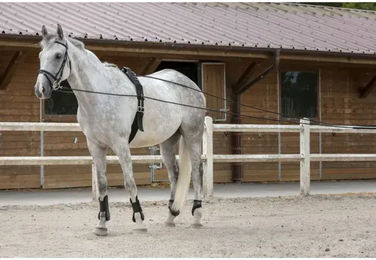 EKKIA Longierzügel aus Leder und Kordel Schwarz - 10 m – Bild 1 von 2