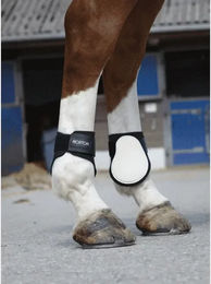 EKKIA Norton Fetlock Boots Weiß – Bild 1 von 2