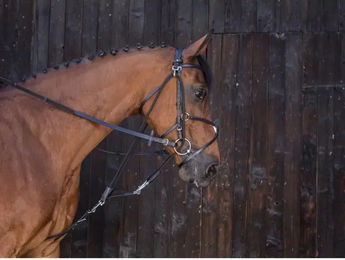EKKIA Riding World Gogge mit Riemen aus Leder für Shetty in Schwarz – Bild 1 von 2
