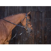 Produktbild von EKKIA Riding World Gogge mit Riemen aus Leder für Shetty in Schwarz